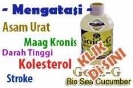 obatalamimaag.web.id Laelatul