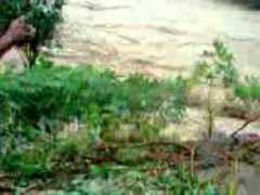 wn.com Laeya