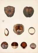 jeanlouisetienne.com Lafaite