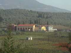 wineplus.gr Lafazani