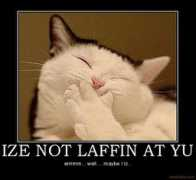 motifake.com Laffin