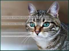 fond-ecran-image.com Lagons