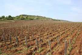 redwhite.no Laguiche