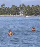 wanderinglizard.com Lahaina