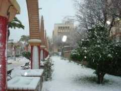 panoramio.com Lahcene