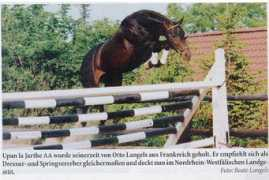holmetrakehners.com Lajarthe