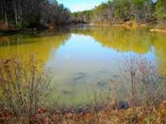 Lakesa