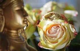 huffingtonpost.com Lakshmie