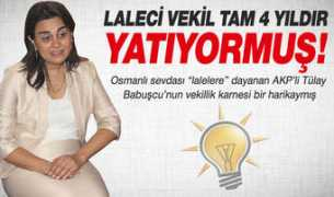 haber.rotahaber.com Laleci