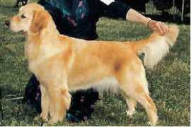 claircrest.com Lalenia