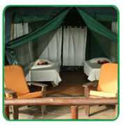 costaricaexotic.com Laleona