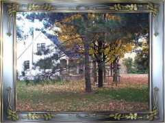 pattesdouces.ca Lamaison