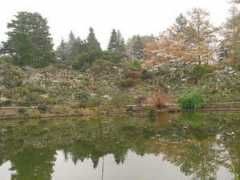 rhodogarden.com Lammen
