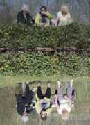 blogs.elpais.com Lamouric