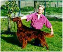 irish-setter-club.de Lancelotte