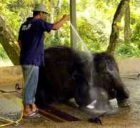 tourmalaysia.com.my Lanchang