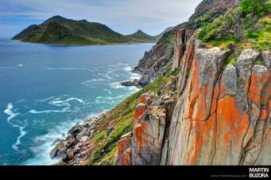 wildfirecreative.co.za Lankers