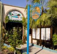 sanfelipebeach.com Lapalapa