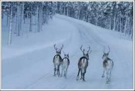 fr.trekearth.com Lappi