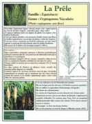 aquabaie.com Laprele