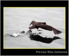 fotosmundo.com Laracca