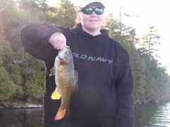 peterlarmand.com Larmand
