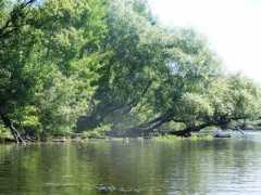 larpia.wikidot.com Larpi