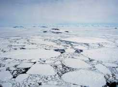 antarcticsun.usap.gov Larsena