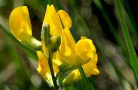 waste.ideal.es Latiro