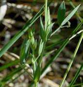 waste.ideal.es Latiro