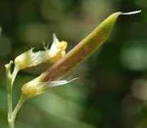 waste.ideal.es Latiro