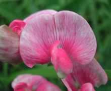 people.uvawise.edu Latlat