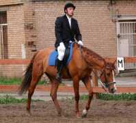 kskmatador.ru Latnik