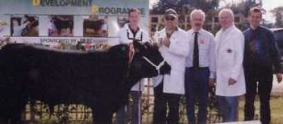 irishangus.ie Lavally