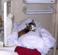 youkaidi.free.fr Laveras