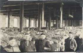 westbrookhistoricalsociety.org Laviolet