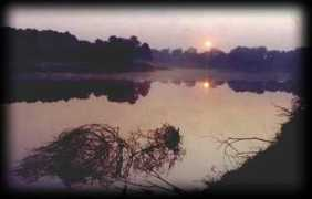 ouachitariver.org Lazaare