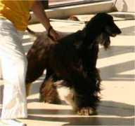 netspace.sk Lazikova