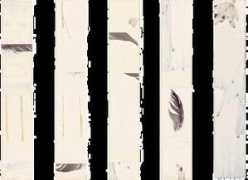 artfirst.co.uk Leaj