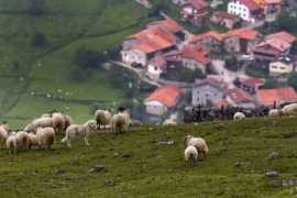 Lebaniegos
