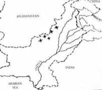 wildlifeofpakistan.com Lebetina