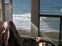 michaelmccafferty.com Lebris