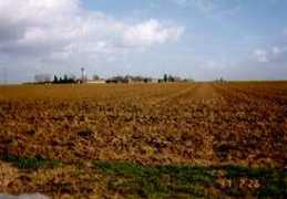 netbeet.ne.jp Leclert