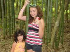 photos.silive.com Lehmans