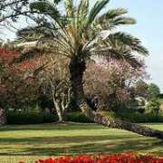 photoforum.ru Leiderman