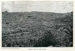 depts.washington.edu Lejah