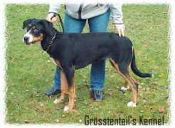 grosser.se Lemonie