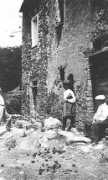Lepidi