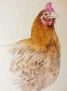 wardhenline.com Lesely