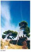 nadalphoto.free.fr Lesud